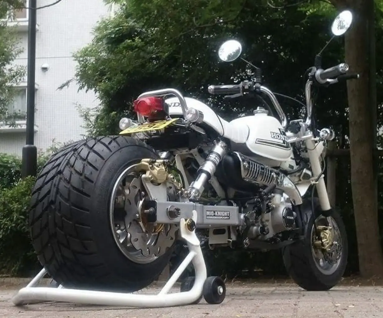 GALLERY - MID-KNIGHT