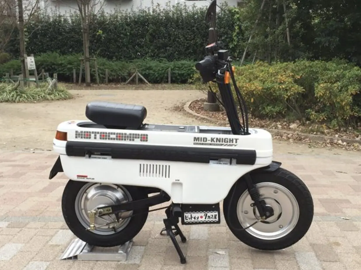 GALLERY - MID-KNIGHT